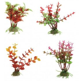 Akváriumi Műnövény Mix 10cm Ambulia