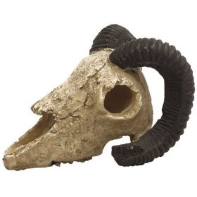 Akváriumi Decor Kosfej Koponya 6x5x5cm