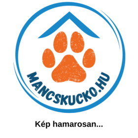   Kötőfék cob-os méretben nikkel csattal és karikával 25mm-es heveder - kék színű 