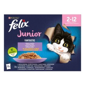 Felix Fantastic 12x85g Junior Vegyes Válogatás Aszpikban